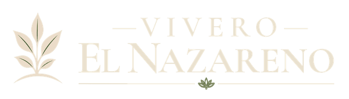 logo-elnazareno-2-1.png