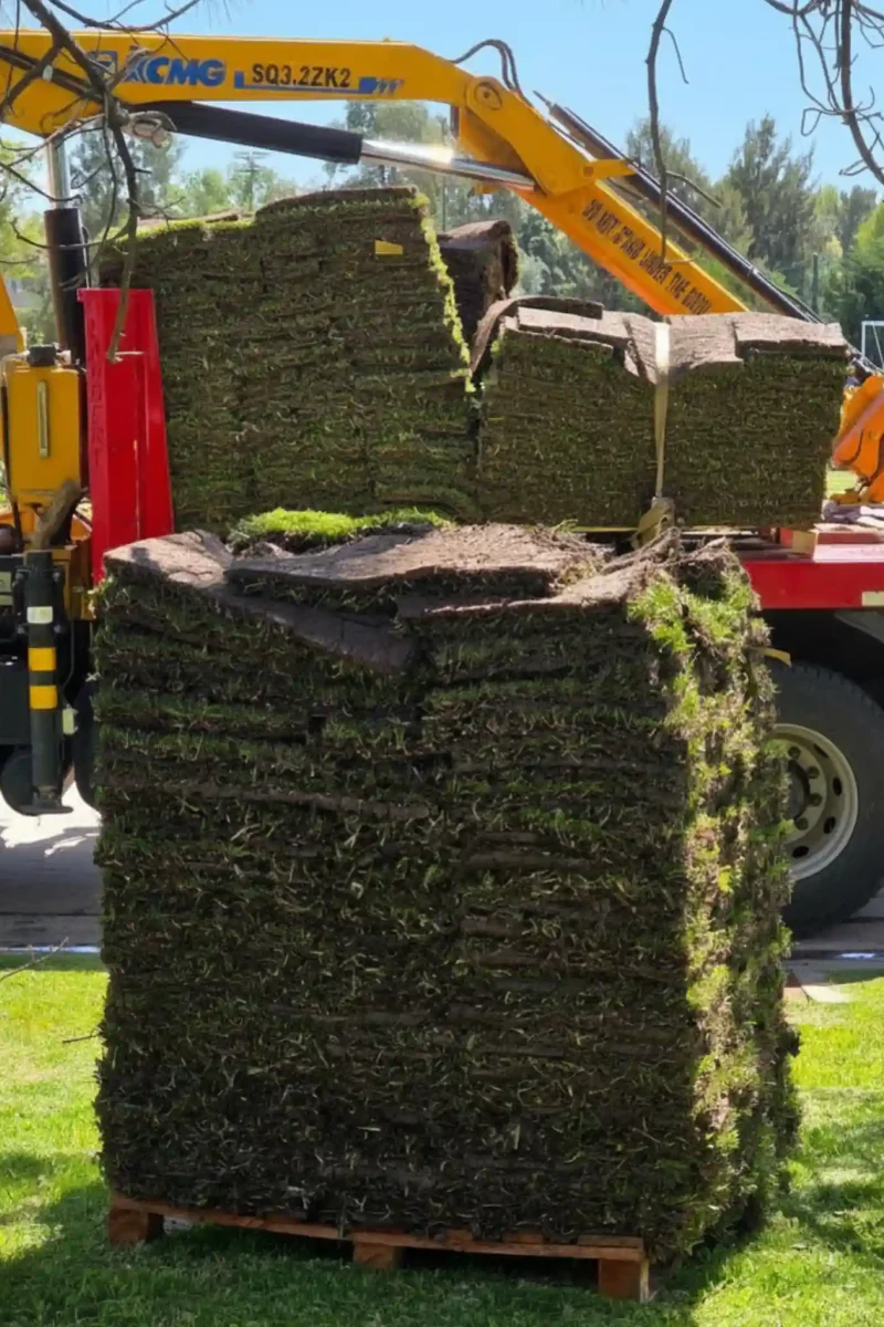 Descarga de panes de césped con maquinaria especializada para la instalación profesional de grandes superficies verdes.