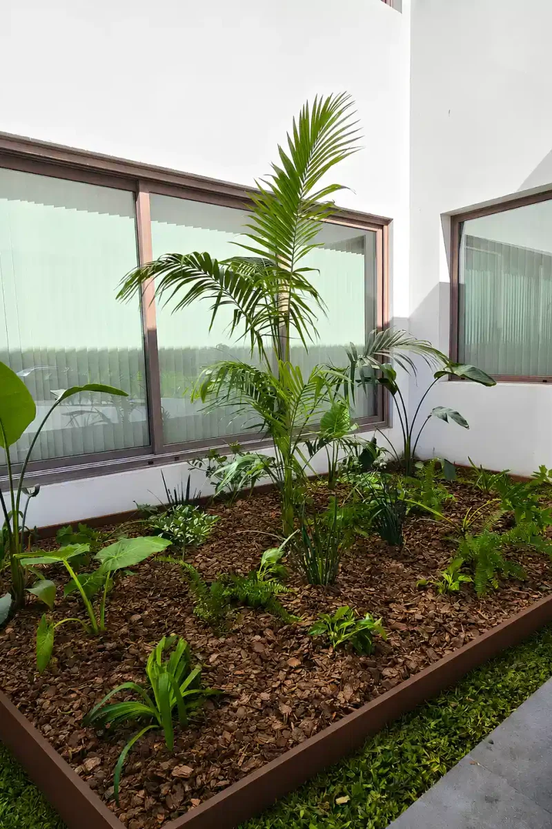 Diseño y ejecución de jardín externo moderno con plantas tropicales y sustrato de corteza.